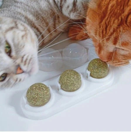 Catnip plegable