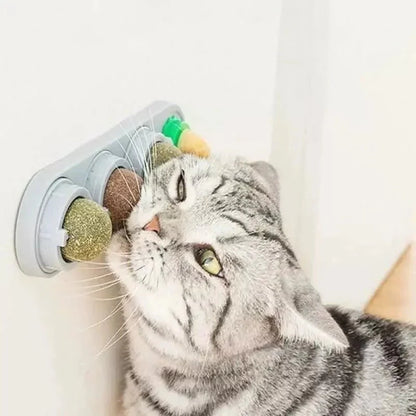 Catnip plegable