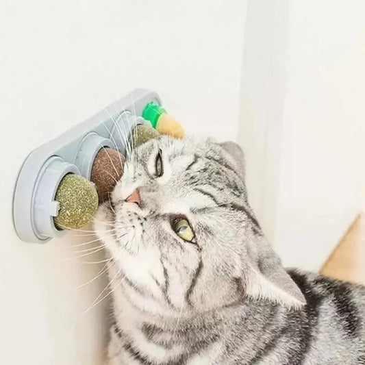 Catnip plegable